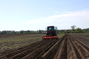 Механизированные работы. Грядообразование.  #1678770