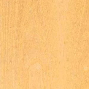 Шпон Kapsan ясень #1680020