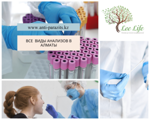 Все виды анализов в Алматы #1687013