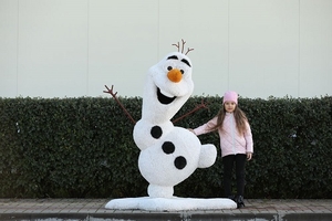 Топиар фигуры от производителя,  доставка по всему миру #1690167