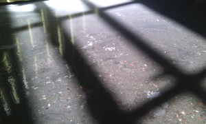 Полиуретановое универсальное покрытие #1689652