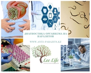 Комплексная диагностика организма на паразитов. #1689437