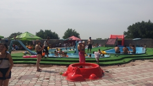 Бассейн/песочница в форме черепахи #1450421