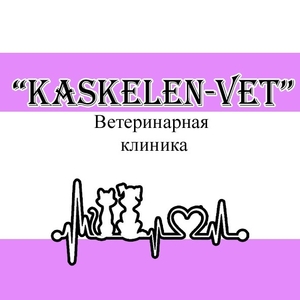 Ветеринарная клиника