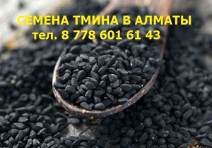 Продаем семена черного тмина,  семена льна,  тел. +77786016143 #1695192