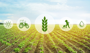 Агро консультация #1696808