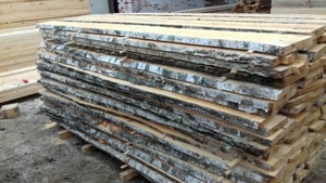 Берёза не обрезная #1699729