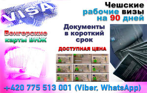 Подготовим пакеты дoкументов для чешских или венгерских ви3. #1699377