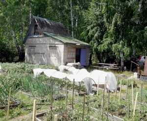 ПРОДАЮ ДАЧУ В