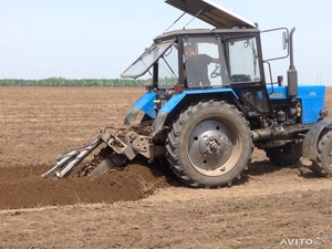 Услуги и аренда бары #1704263