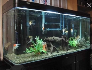 Аквариум заводской #1705458