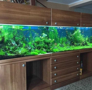 Аквариум травник на заказ  #1706858