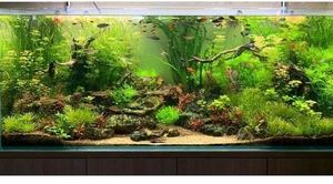 Дизайн аквариума #1706875