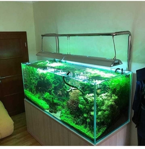 Чистка и уборка аквариумов в Алматы #1706877