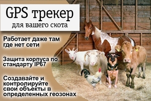 GPS трекер маяк в Казахстане. #1713161