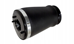 Пневмобаллон задний на BMW 5 (E39). С 1995г по 2000г #1714371