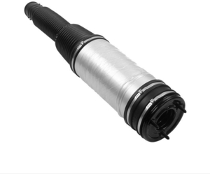 Пневмобаллон задний на Mercedes W220 #1714365