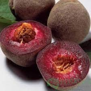 Саженец нектарина красномясный