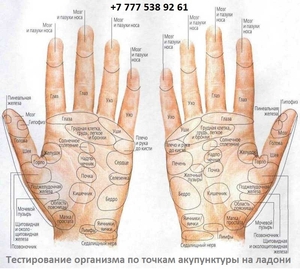 Диагностика организма за 15 минут #1718763