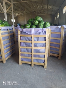 Арбузы (6-8 кг) #1724409