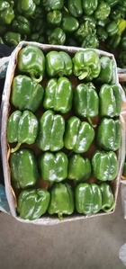 Сладки ПЕРЕЦ #1724415