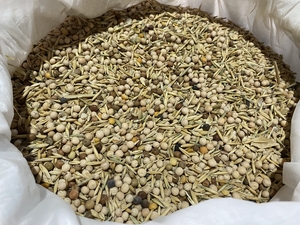 Зерносмесь (горох,  ячмень,  овёс,  пшеница) #1724306