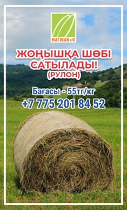 Жоңышқа в Кызылорде!!! Жоңышқа шөбі сатылады! #1725428