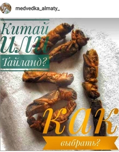Азиатская медведка из Китая и Таиланда. Травы Алтая. Доставка в подарок. Скидки! #1725284