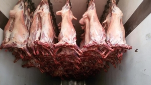 Замороженное Мясо из Монголии.... #1726594