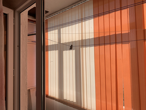 Жалюзи,  ролл шторы,  римские шторы,  бамбуковые шторы в Караганде #1728524