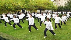 Ушу,  оздоровительный цигун,  тайцзи,  китайский язык,  каллиграфия,  шахматы #1729275