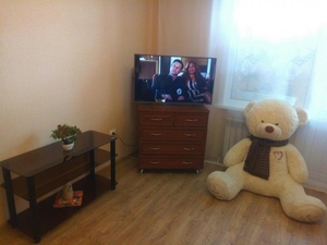 Сдается только русским обустроенная однокомнатная квартира #1729333