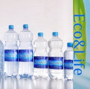 Вода Минеральная Питьевая «Eco&Life» 1л #1731149