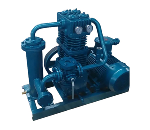 Компрессор ZW-1.6/16-25 для сжиженного нефтяного газа  #1731678