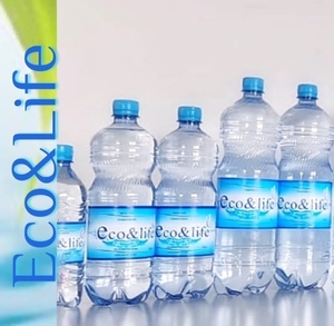 Вода Минеральная Питьевая «Eco&Life» 0, 5л #1731148