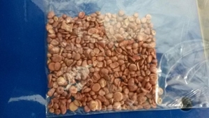 Куплю  Медь гранулированную  #1732080