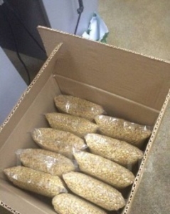 Ядро кедрового ореха с Алтайского края #1732946