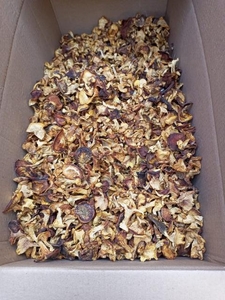 Грибы сушеные Сибири #1732956