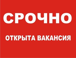  РАБОТА В ИНТЕРНЕТ ПРОЕКТЕ. #1736208