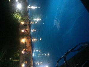 Сдам в аренду бассейн  #1735367