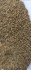 Семене люцерны #1735970