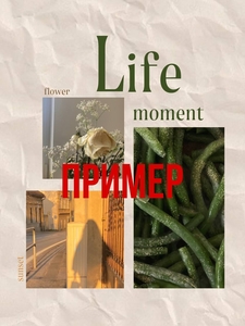 Занимаюсь фрилансом(плакаты,  презентации,  визуал,  дизайн) #1736937