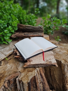 Гримуар из кожи на заказ,  кожаная книга желаний,  блокнот ручной работы #1738218