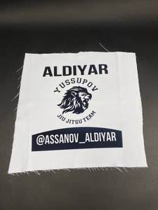 Нашивки #1738140