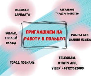 Приглашаем граждан Казахстана и Кыргызстана на работу в Польшу #1738909