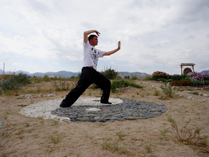 Упражнения цигун для оздоровления. #1740844