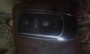 Найден электронный ключ от авто #1742547