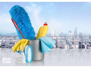 Услуги клининга. Качество и приемлемые цены  #1742981