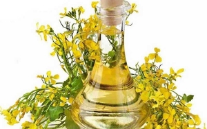 Рапсовое рафинированное дезодорированное масло от производителя   #1745376