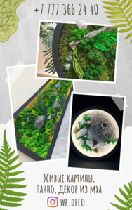 Живые картины панно декор из мха Алматы. #1746248